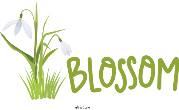 Free Nature Design Plant Stem Logo For Spring Clipart Transparent Background