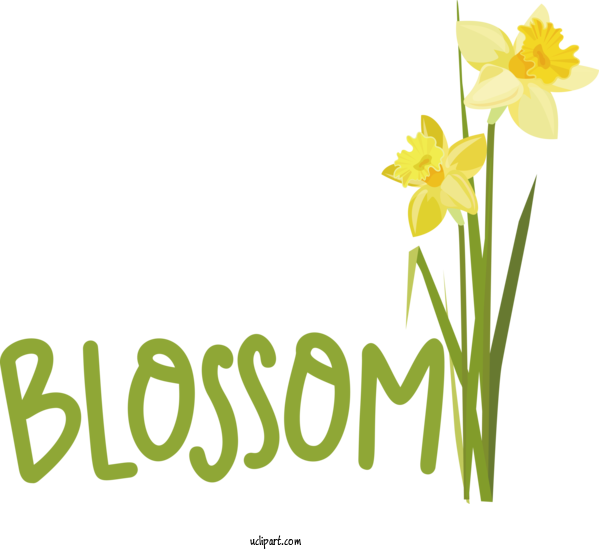 Free Nature Daffodil Plant Stem Flower For Spring Clipart Transparent Background