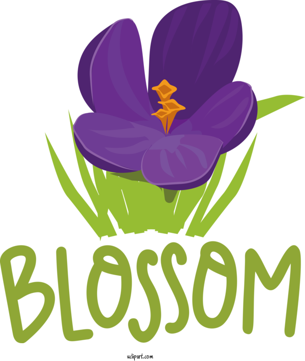 Free Nature Flower Logo Crocus For Spring Clipart Transparent Background