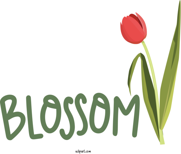 Free Nature Flower Plant Stem Logo For Spring Clipart Transparent Background