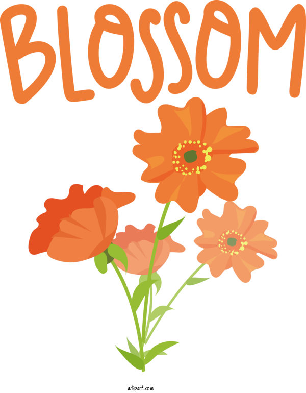 Free Nature Flower Floral Design Design For Spring Clipart Transparent Background
