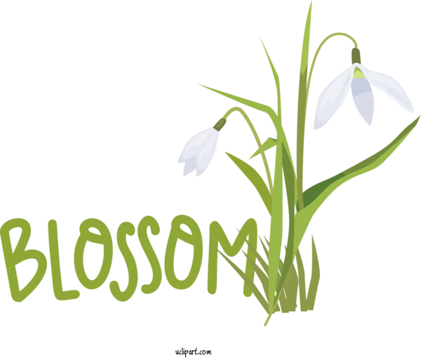 Free Nature Plant Stem Floral Design Grasses For Spring Clipart Transparent Background
