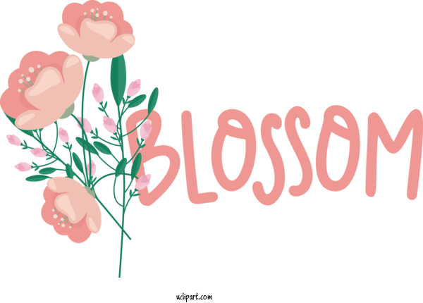 Free Nature Floral Design Garden Roses Design For Spring Clipart Transparent Background