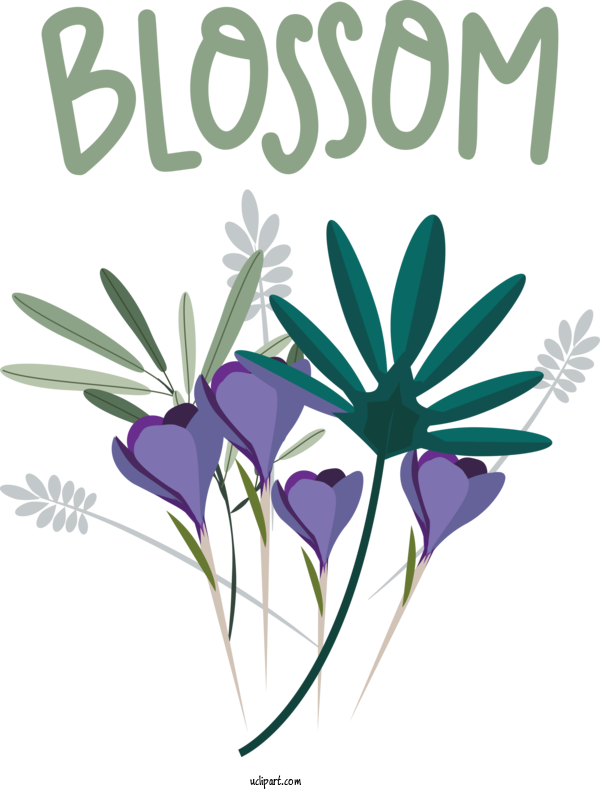Free Nature Flower Floral Design Vase For Spring Clipart Transparent Background