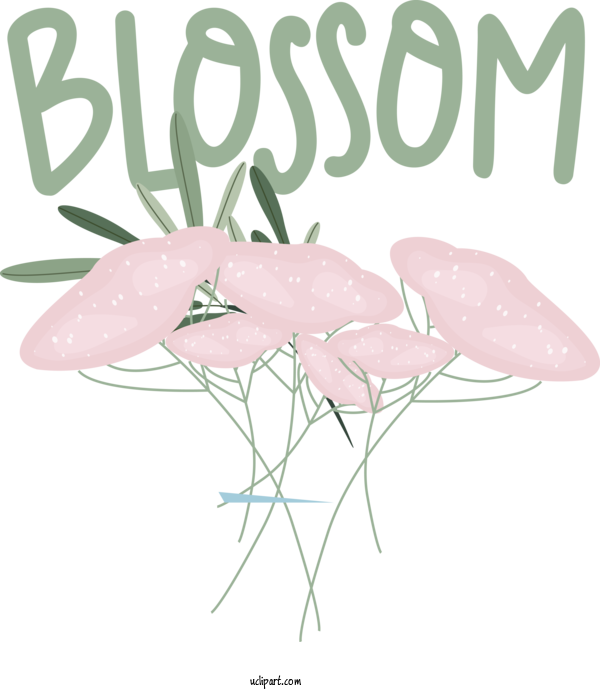 Free Nature Design Flower Floral Design For Spring Clipart Transparent Background