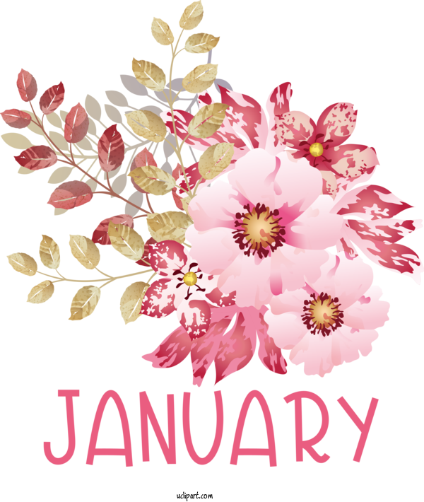 Free January Floral Design Flower Design For Hello January Clipart Transparent Background