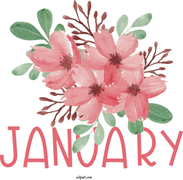 Free January Flower Design Floral Design For Hello January Clipart Transparent Background