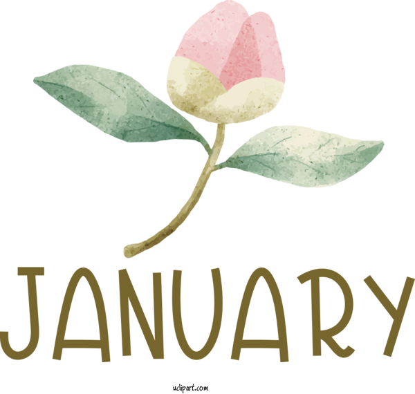 Free January Flower Plant Stem Leaf For Hello January Clipart Transparent Background