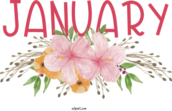 Free January Flower Floral Design Design For Hello January Clipart Transparent Background