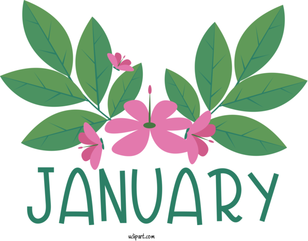 Free January Picture Frame Flower Drawing For Hello January Clipart Transparent Background