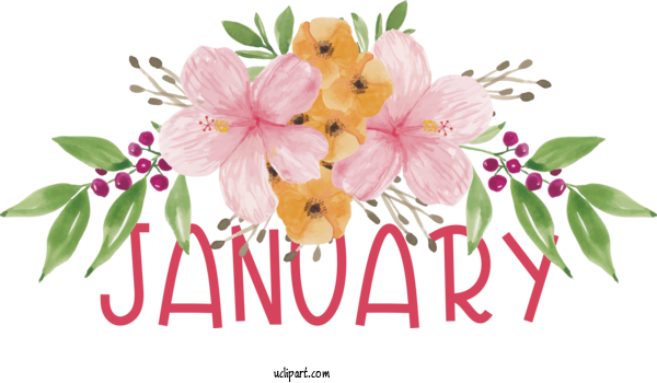 Free January Flower Rose Design For Hello January Clipart Transparent Background