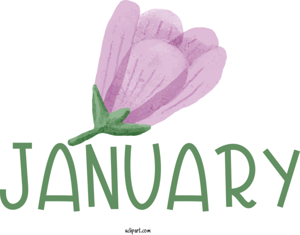 Free January Flower Logo Font For Hello January Clipart Transparent Background