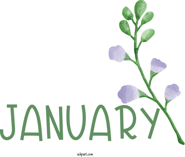 Free January Flower Design Floral Design For Hello January Clipart Transparent Background