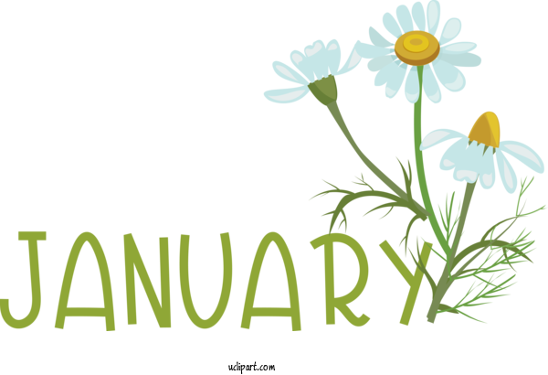 Free January Oxeye Daisy Roman Chamomile Design For Hello January Clipart Transparent Background