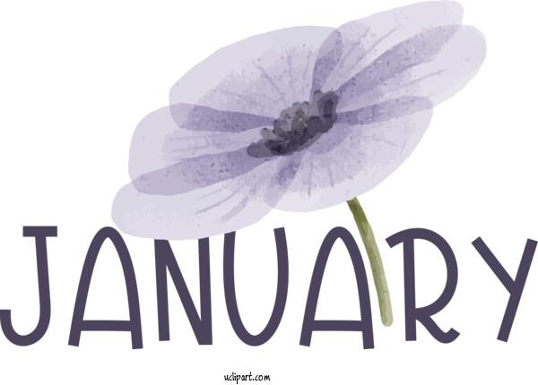 Free January Flower Font Petal For Hello January Clipart Transparent Background