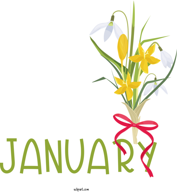 Free January Flower Cut Flowers Floral Design For Hello January Clipart Transparent Background