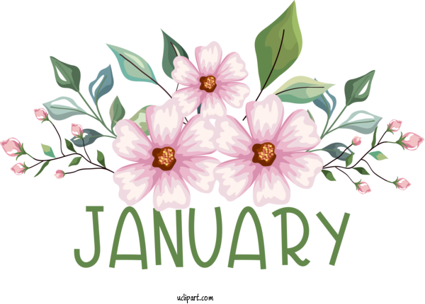 Free January Wedding Invitation Flower Design For Hello January Clipart Transparent Background