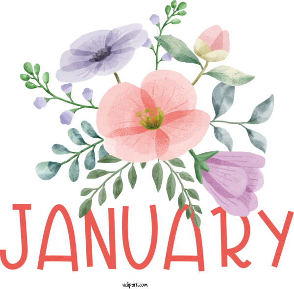 Free January Watercolor Painting Painting Drawing For Hello January Clipart Transparent Background