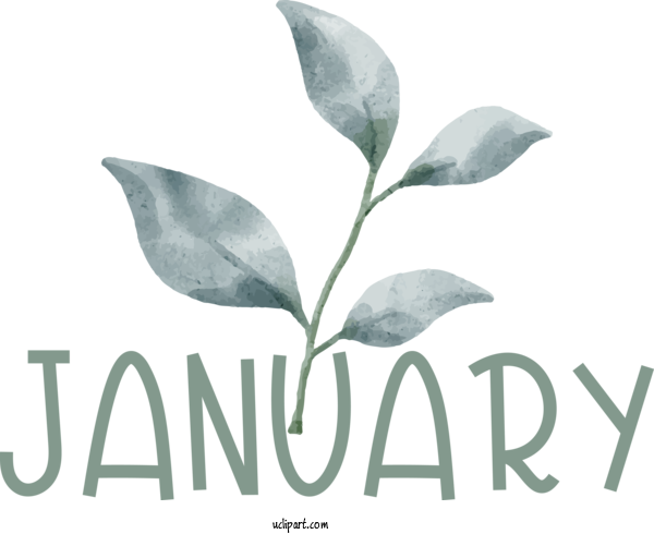 Free January Leaf Plant Stem Design For Hello January Clipart Transparent Background