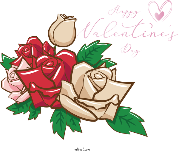 Free Holidays Rose Flower Garden Roses For Valentines Day Clipart Transparent Background