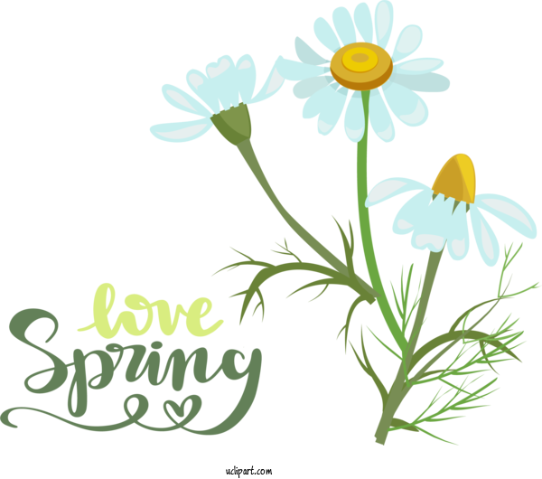 Free Nature Flower Floral Design Plant Stem For Spring Clipart Transparent Background