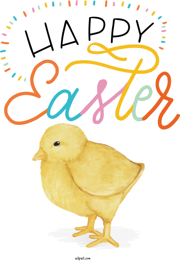 Free Holidays Birds Chicken Ducks For Easter Clipart Transparent Background