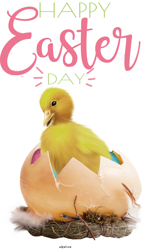 Free Holidays Birds Duck Chicken For Easter Clipart Transparent Background