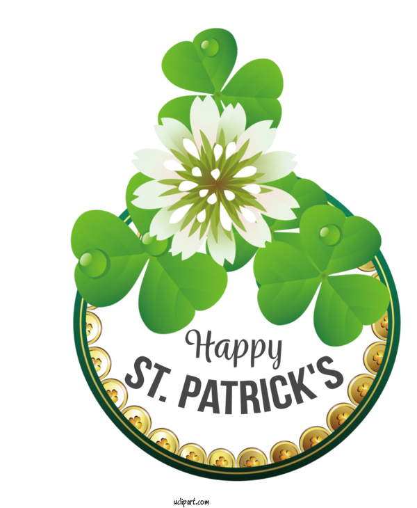 Free Holidays Owls Drawing Animation For Saint Patricks Day Clipart Transparent Background