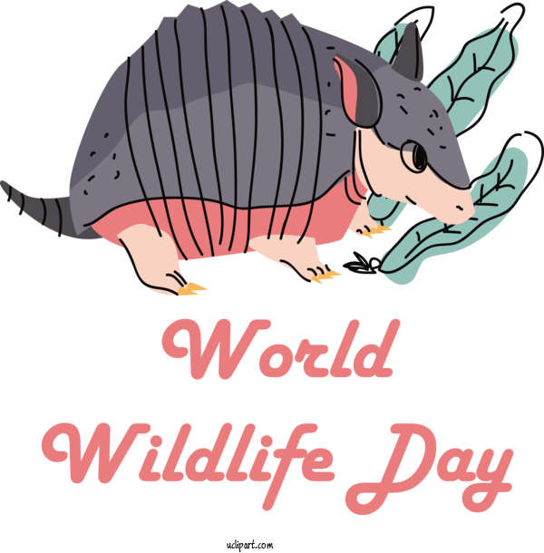 Free Holidays Same Cartoon Snout For World Wildlife Day Clipart Transparent Background