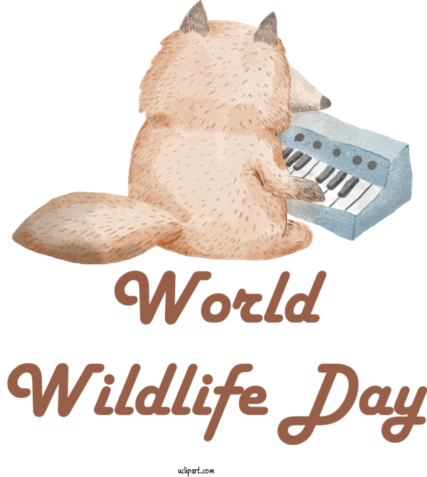Free Holidays Cat Small Snout For World Wildlife Day Clipart Transparent Background