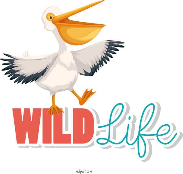 Free Holidays Logo Seabird WD 40 For World Wildlife Day Clipart Transparent Background
