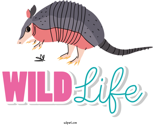 Free Holidays Rodents Armadillos Cartoon For World Wildlife Day Clipart Transparent Background