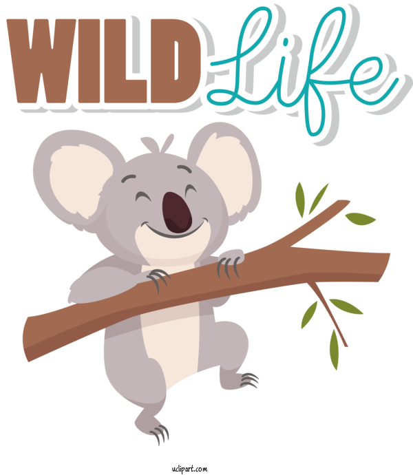 Free Holidays Koala Australia Bears For World Wildlife Day Clipart Transparent Background