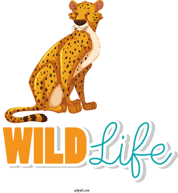 Free Holidays Cheetah Lion Leopard For World Wildlife Day Clipart Transparent Background