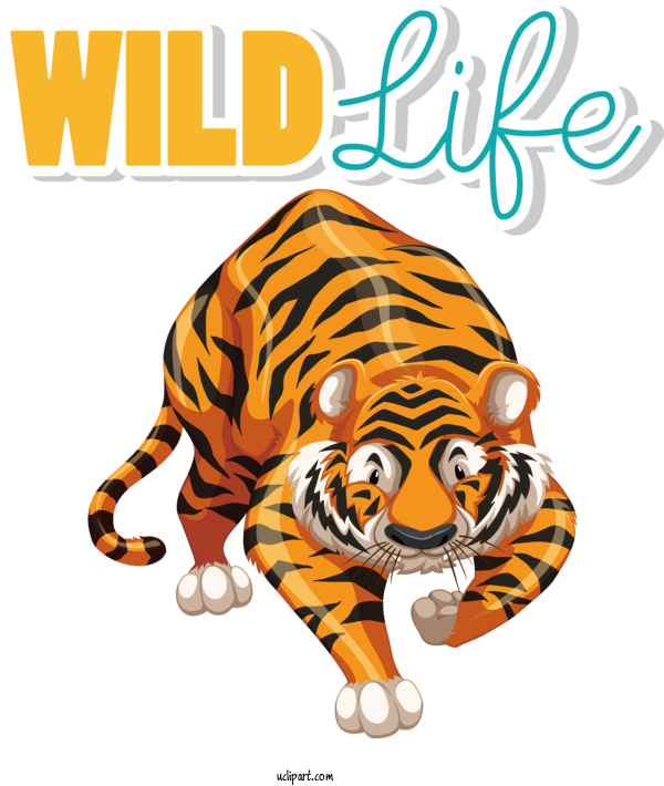Free Holidays Tiger Royalty Free Cartoon For World Wildlife Day Clipart Transparent Background