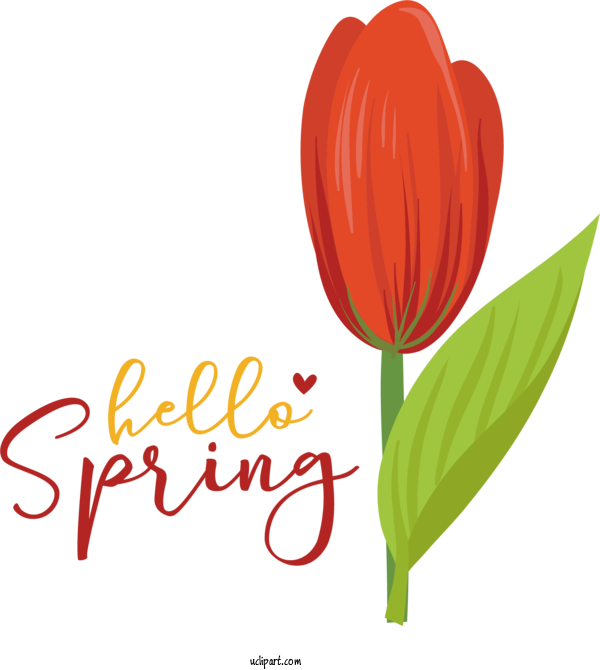 Free Nature Flower Cut Flowers Tulip For Spring Clipart Transparent Background