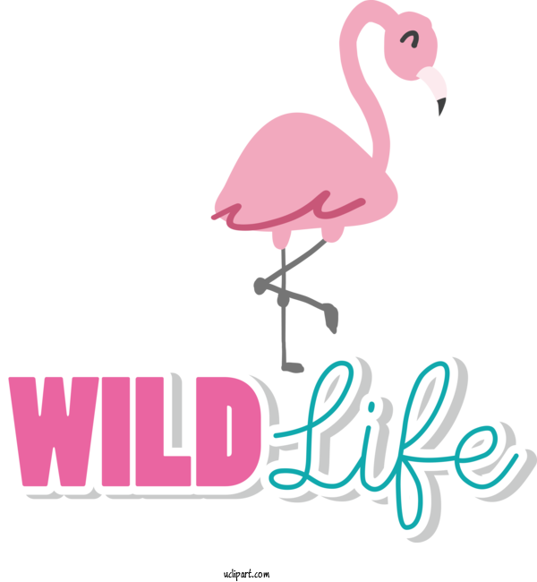 Free Holidays Birds Ducks Logo For World Wildlife Day Clipart Transparent Background