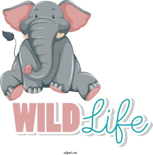 Free Holidays Alphabet Flashcard English Alphabet For World Wildlife Day Clipart Transparent Background