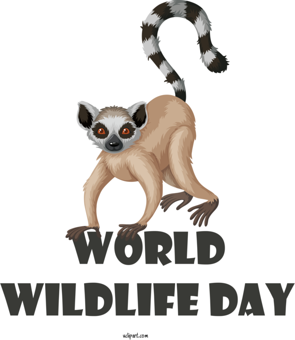 Free Holidays Lemurs Birthday Drawing For World Wildlife Day Clipart Transparent Background