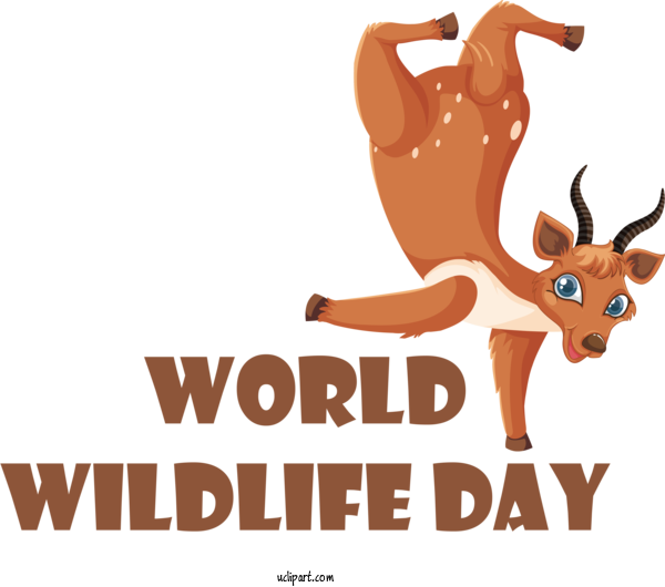 Free Holidays Royalty Free  Stock.xchng For World Wildlife Day Clipart Transparent Background