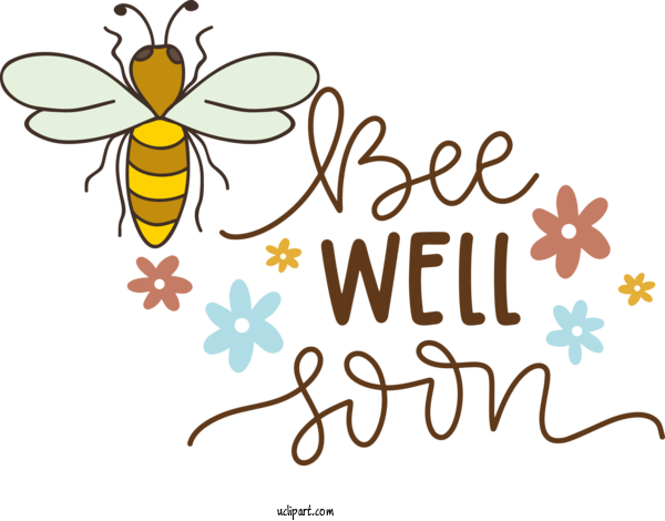 Free Occasions Bees Honey Bee Butterflies For Get Well Clipart Transparent Background