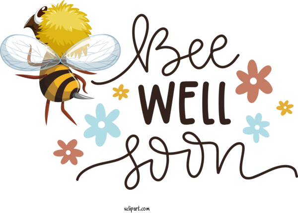 Free Occasions Honey Bee Design Bees For Get Well Clipart Transparent Background