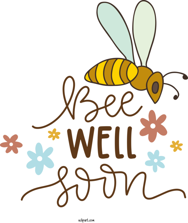 Free Occasions Bees Honey Bee Butterflies For Get Well Clipart Transparent Background
