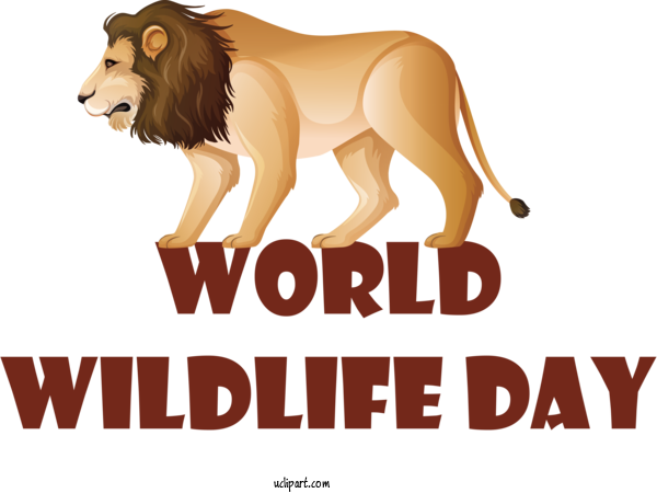 Free Holidays Lion Cat Like Cat For World Wildlife Day Clipart Transparent Background