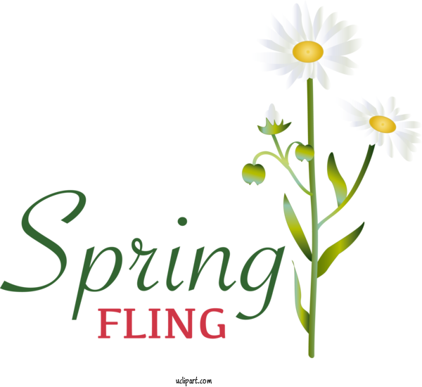Free Nature Floral Design Plant Stem Flower For Spring Clipart Transparent Background