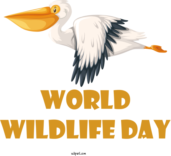 Free Holidays Birds Stork Seabird For World Wildlife Day Clipart Transparent Background