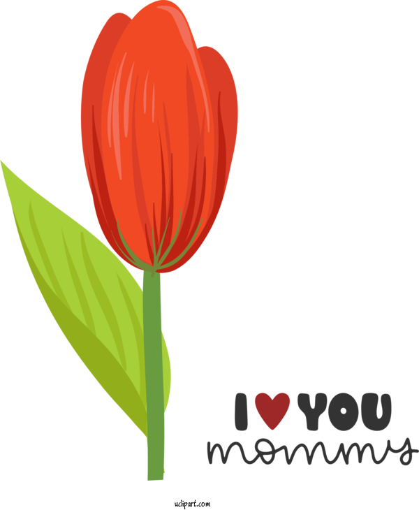 Free Holidays Plant Stem Tulip Lilies For Mothers Day Clipart Transparent Background