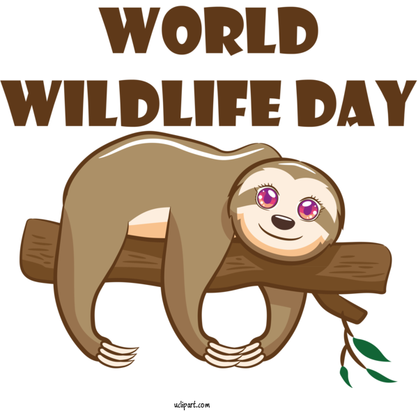 Free Holidays Sloths Drawing Design For World Wildlife Day Clipart Transparent Background