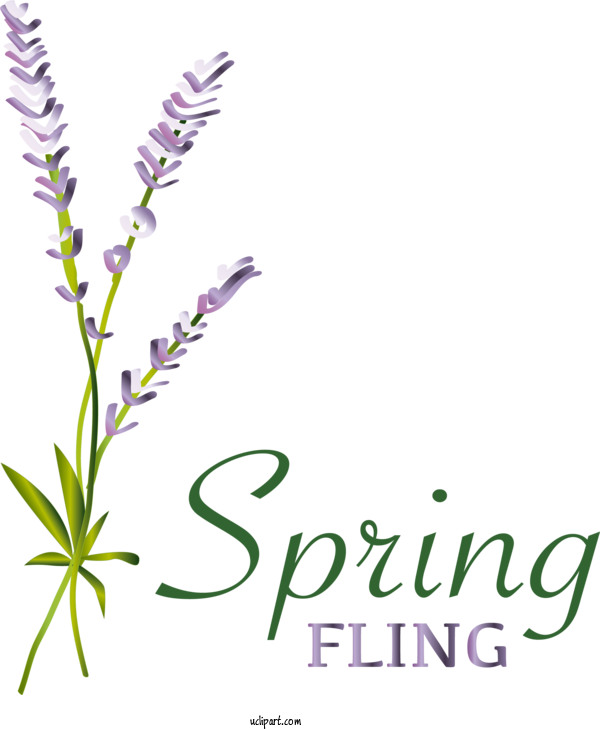 Free Nature Flower Floral Design Design Flower For Spring Clipart Transparent Background