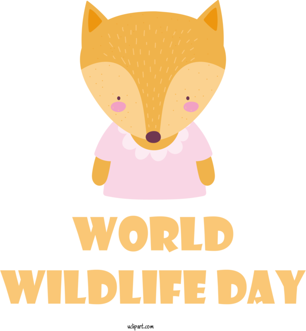 Free Holidays Cat Small Kitten For World Wildlife Day Clipart Transparent Background
